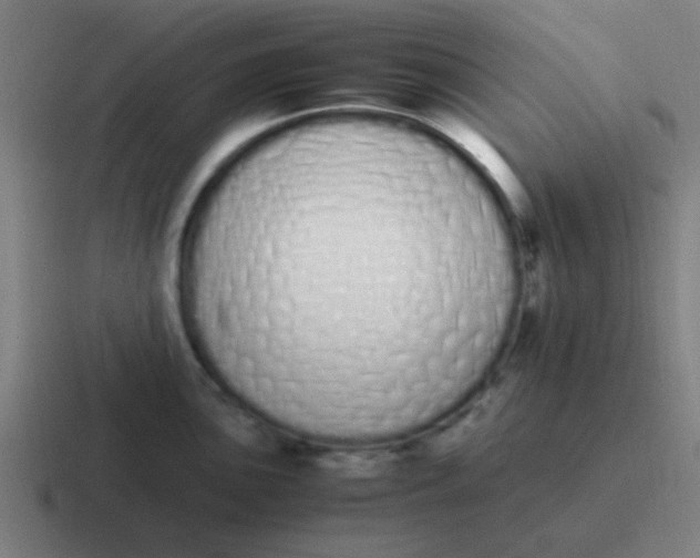 X0000116841051200912312051