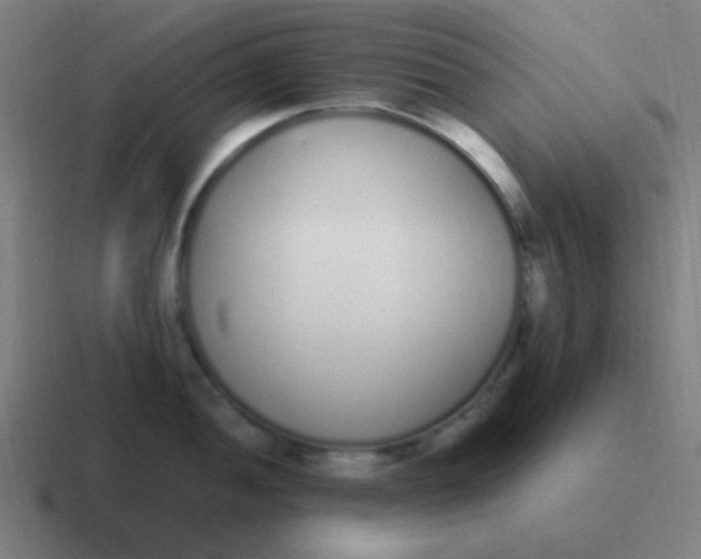 X0000116841052200912312051