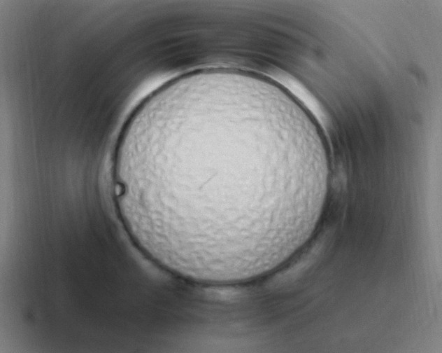 X0000116841053200912312051