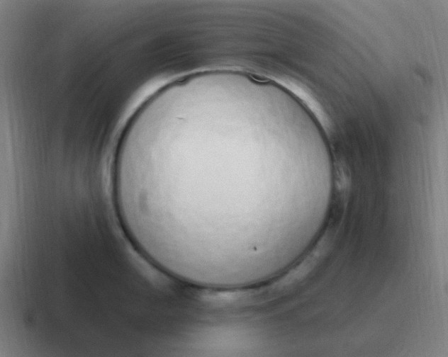 X0000116841054200912312051