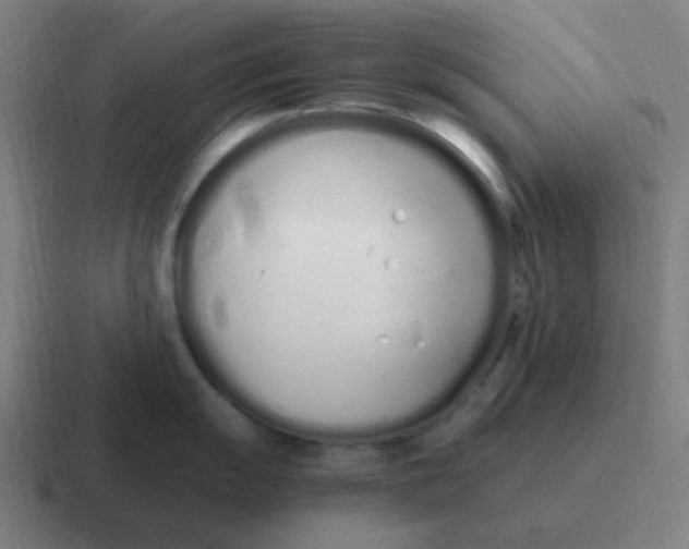 X0000116841055200912312051