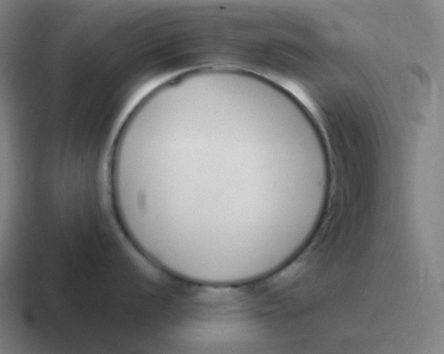 X0000116841056200912312051