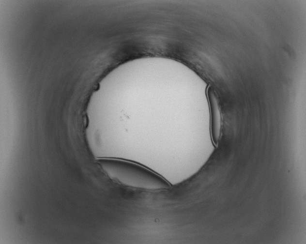 X0000116841057200912312050