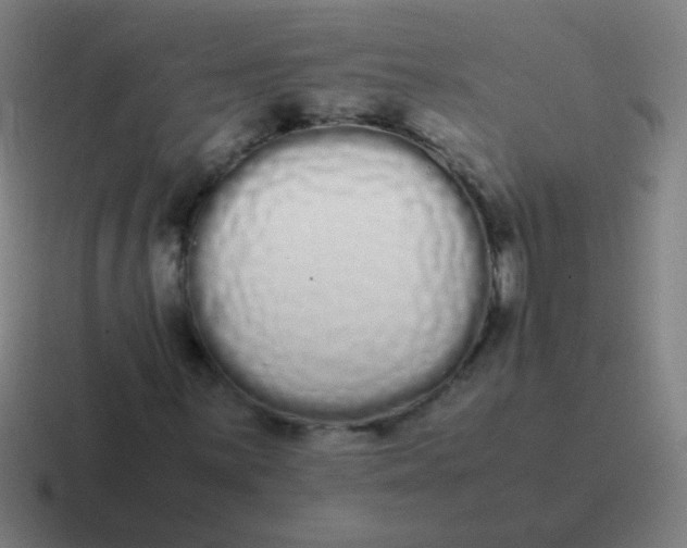 X0000116841059200912312050