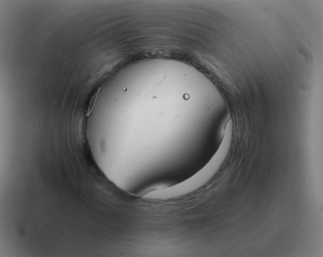 X0000116841060200912312050