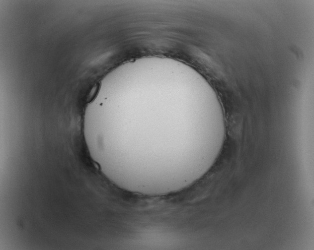 X0000116841061200912312050