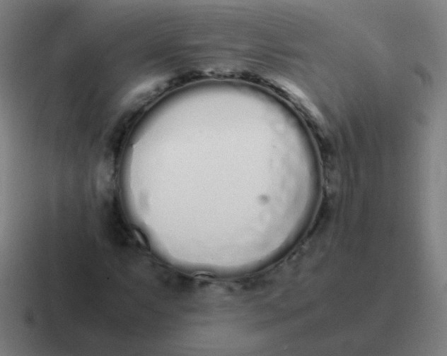 X0000116841063200912312050