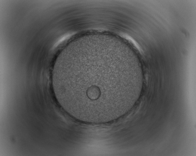 X0000116841064200912312050