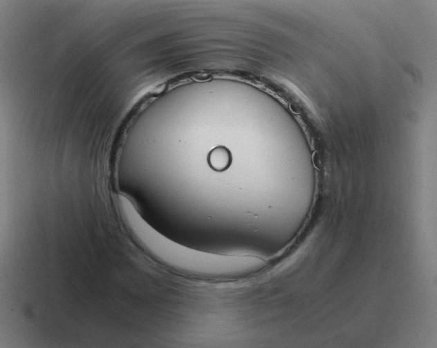 X0000116841065200912312050