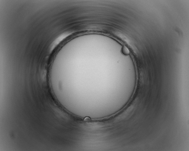 X0000116841066200912312050