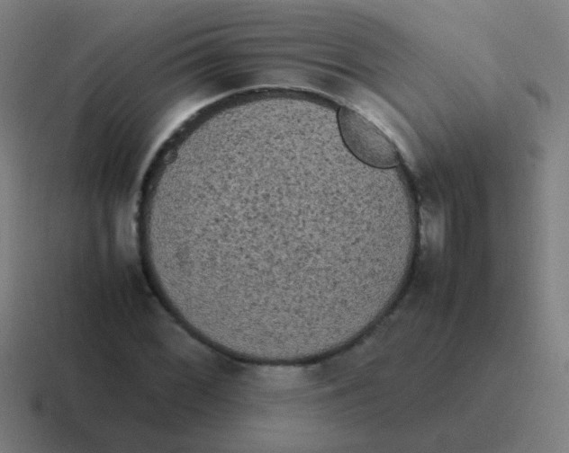 X0000116841068200912312050