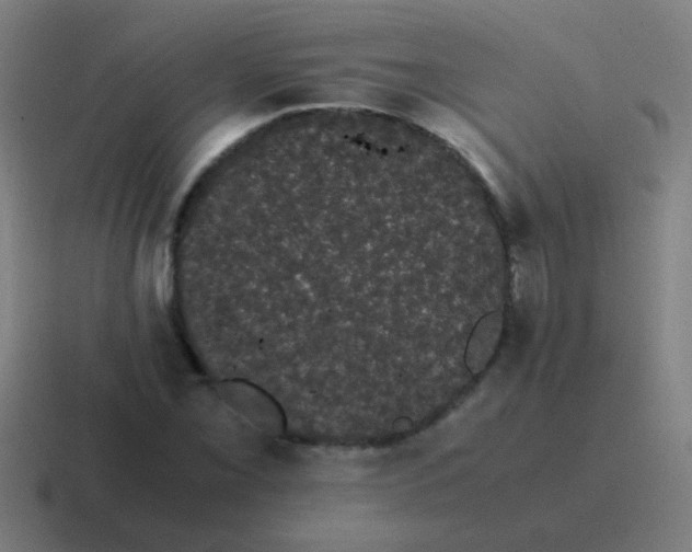 X0000116841069200912312050