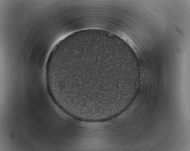 X0000116841072200912312050