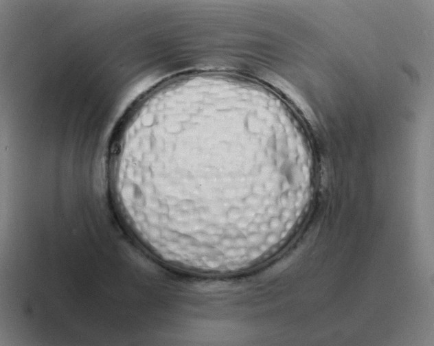 X0000116841075200912312050