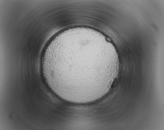 X0000116841076200912312050