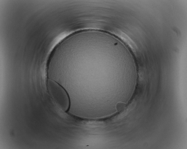 X0000116841077200912312050