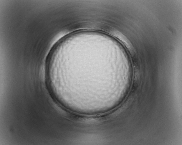 X0000116841079200912312050