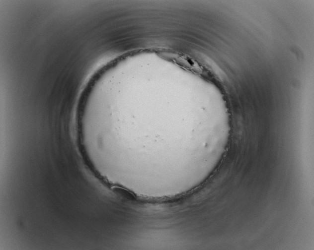 X0000116841080200912312050