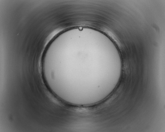 X0000116841082200912312050