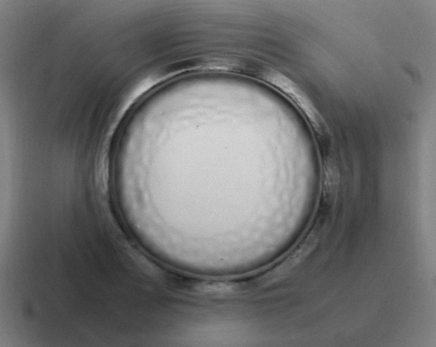 X0000116841083200912312050