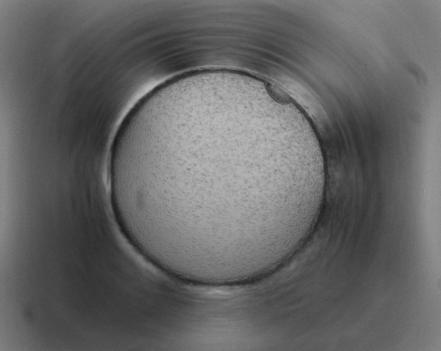 X0000116841084200912312050