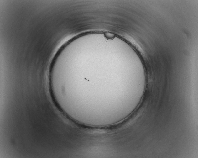 X0000116841085200912312050