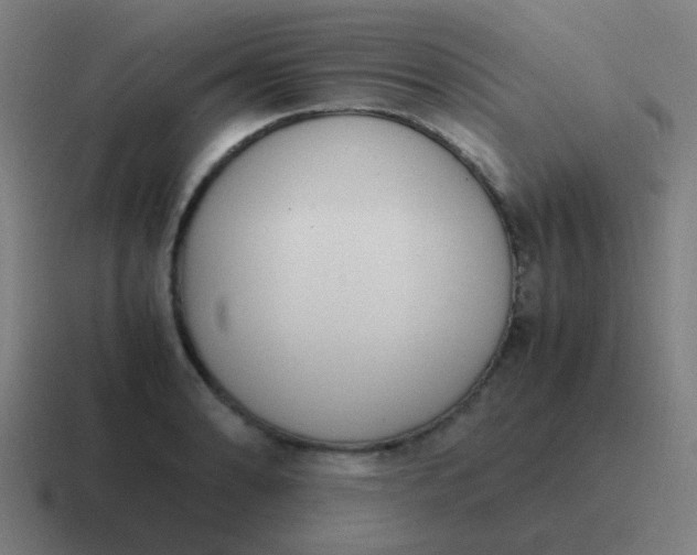 X0000116841086200912312050