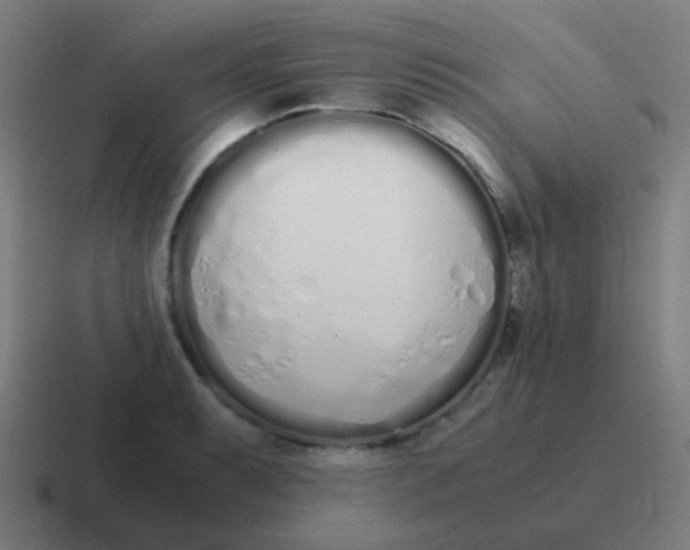 X0000116841087200912312050