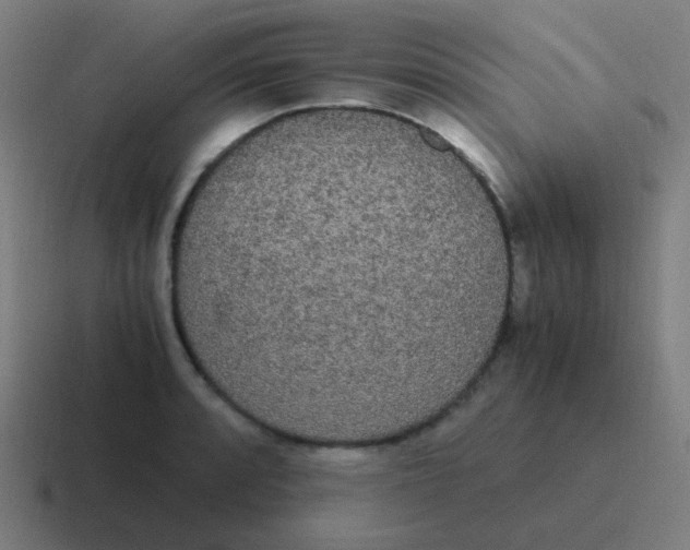 X0000116841088200912312050