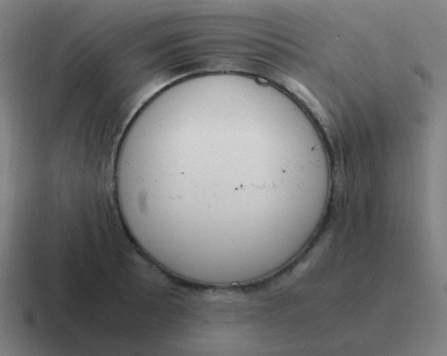 X0000116841089200912312050