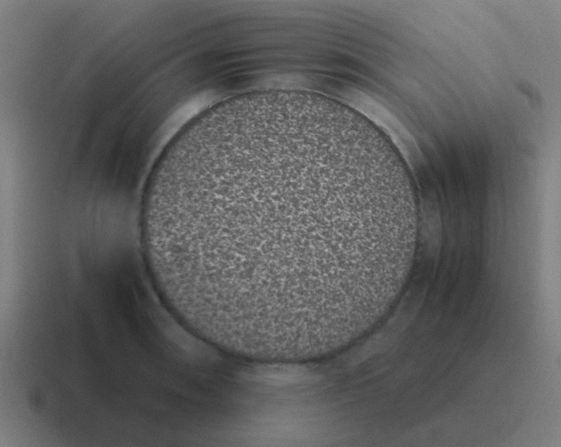 X0000116841090200912312050