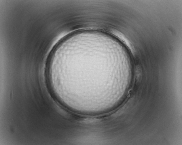 X0000116841091200912312050