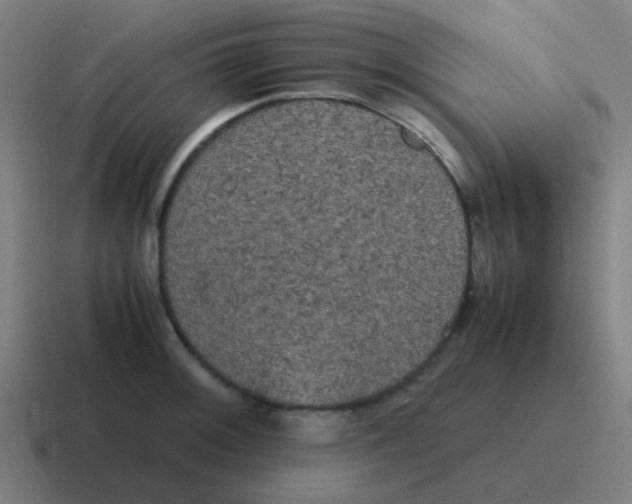 X0000116841092200912312050