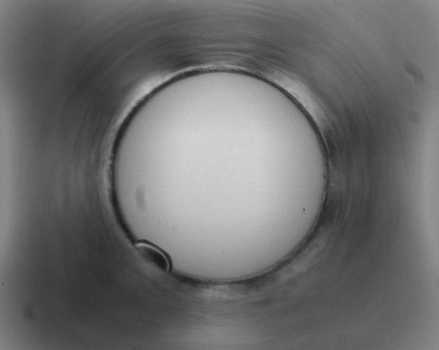 X0000116841093200912312050