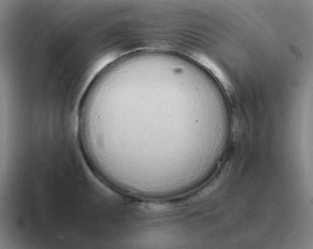 X0000116841095200912312050