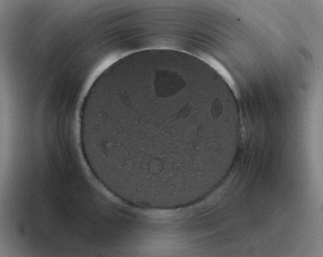 X0000116841096200912312050