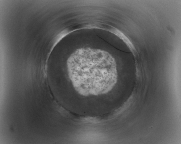 X0000116841097200912312050