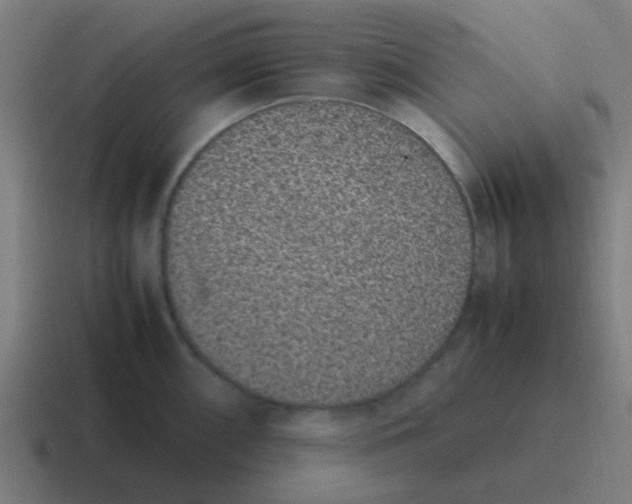 X0000116841098200912312050