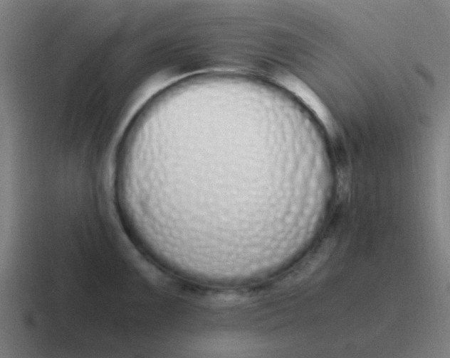 X0000116841099200912312050