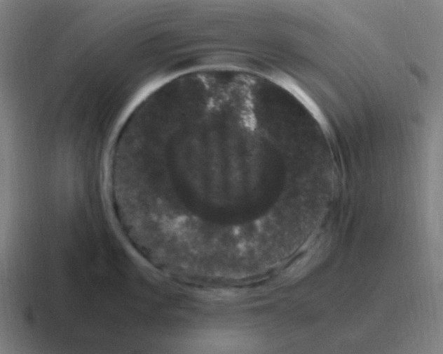 X0000116841101200912312050