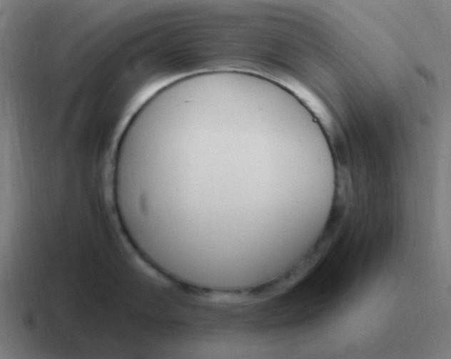 X0000116841102200912312050