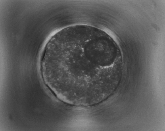 X0000116841104200912312050