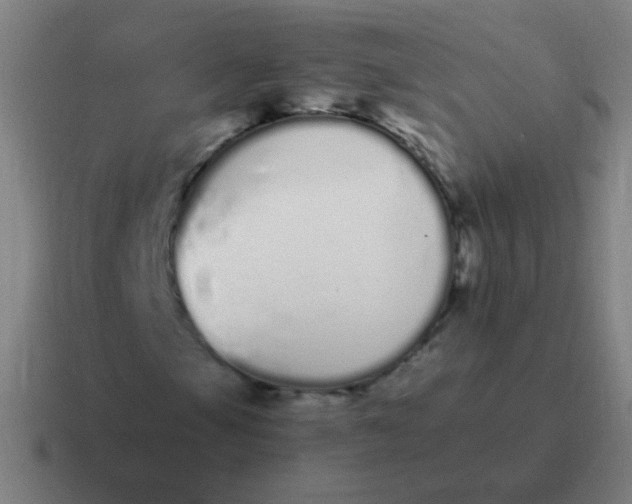 X0000116841105200912312049