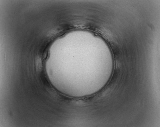 X0000116841106200912312049