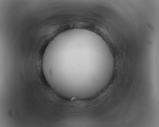 X0000116841109200912312049