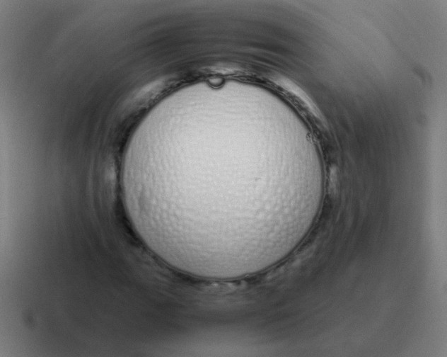 X0000116841111200912312049