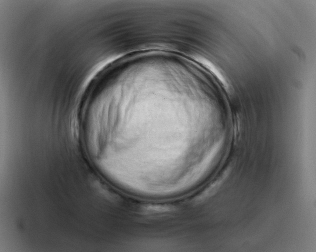 X0000116841117200912312049