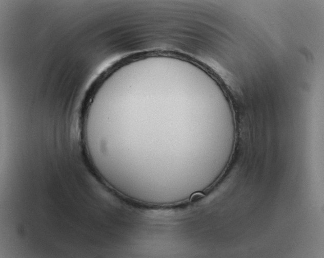 X0000116841118200912312049