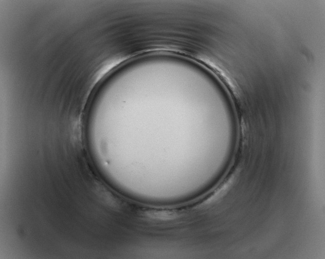 X0000116841121200912312049