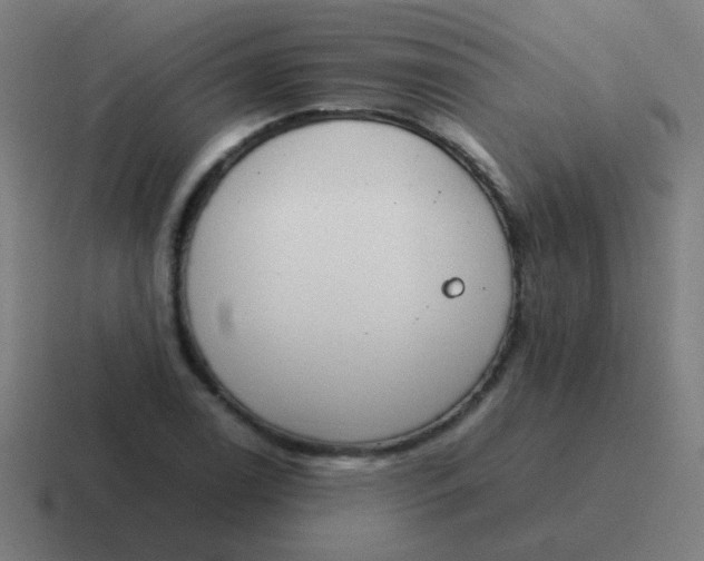 X0000116841122200912312049